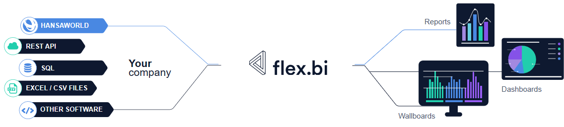 Flex BI Bi- järjestelmä